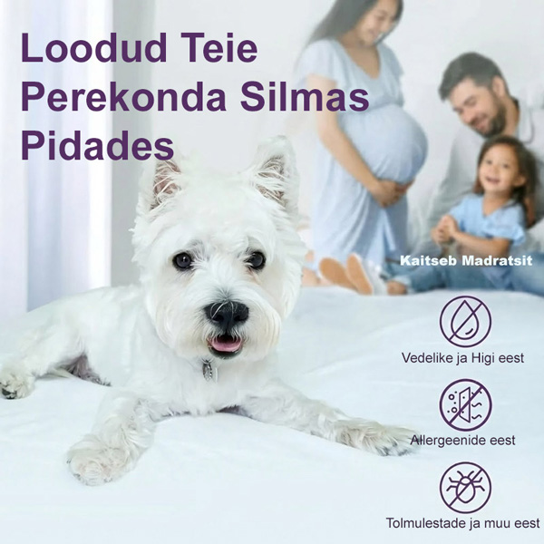 CLOUDREAM-3831127613059-EE-5__301225